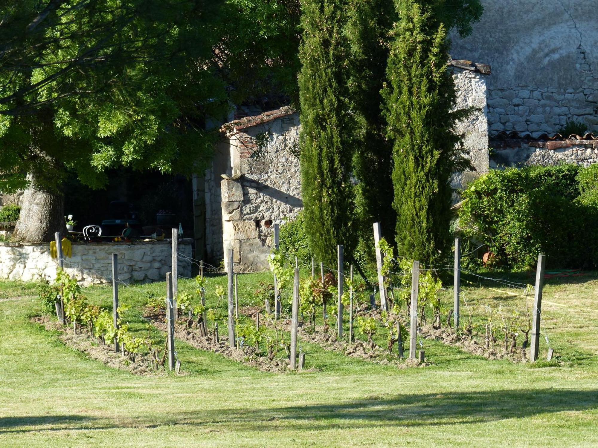 Domaine De La Monestarie - Teritoria Hotel Bernac  Buitenkant foto